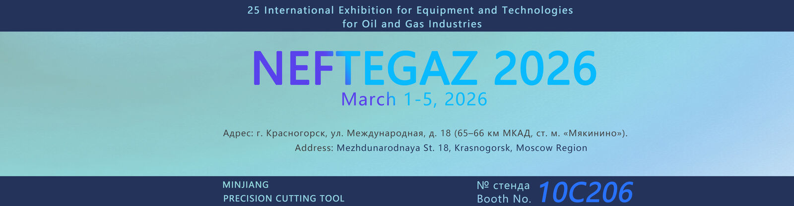 Peças do carboneto de tungstênio